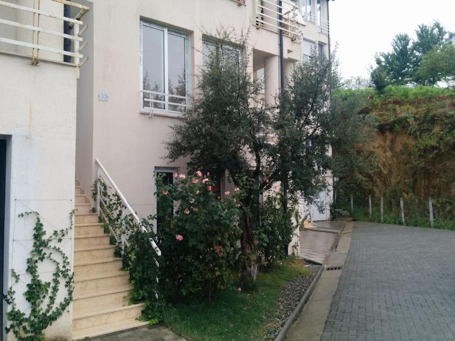Exclusive Apartment Тирана Экстерьер фото