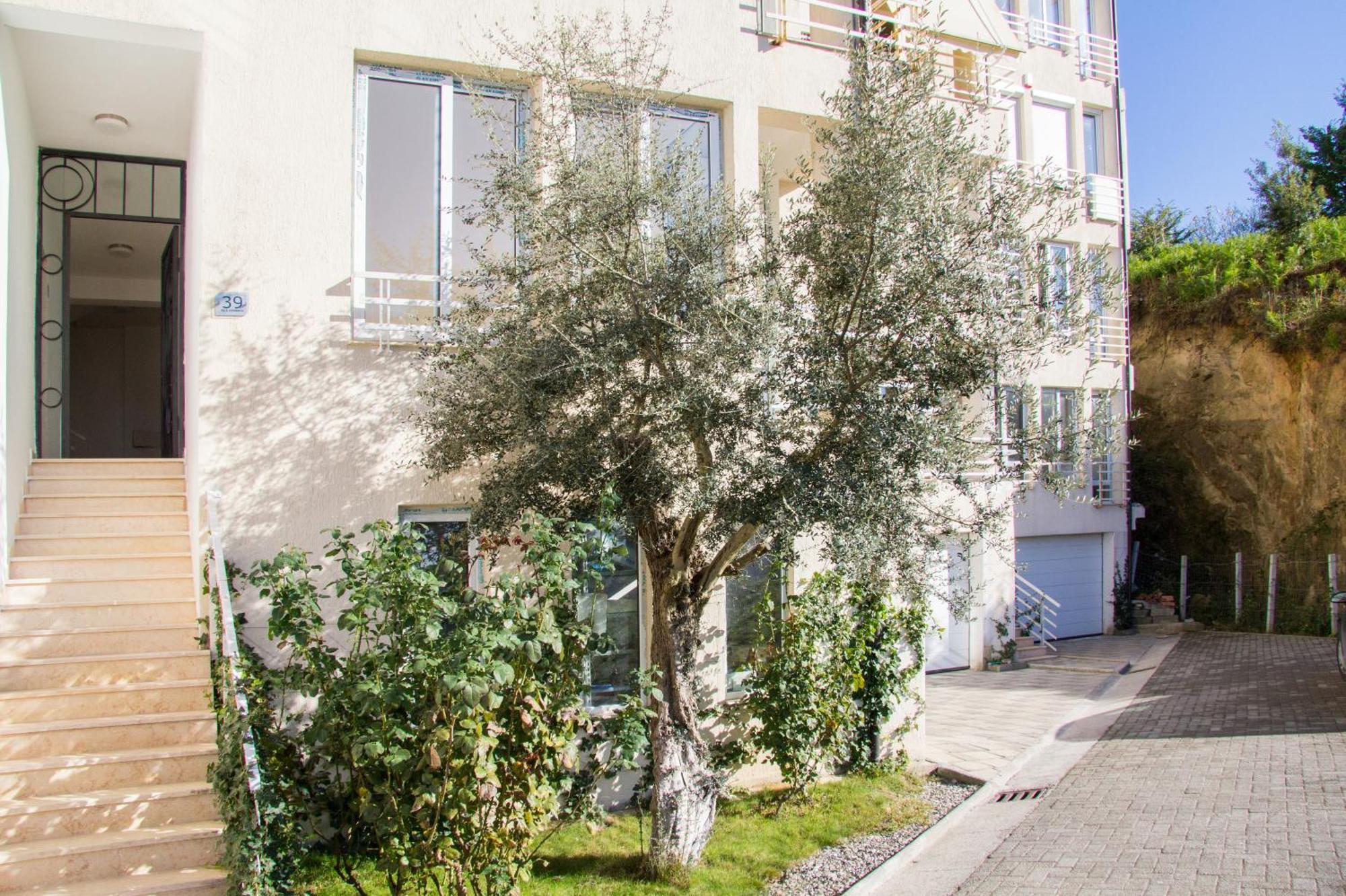 Exclusive Apartment Тирана Экстерьер фото
